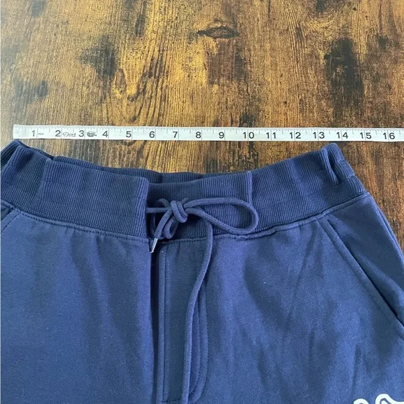 True Religion Blue Joggers - Picture 3 of 14